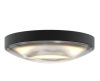 GRAU Globe Ceiling 12 IN plafondlamp - 4